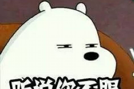 陈淋子要账：一场关于诚信与法理的较量