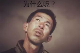 黑龙江大庆催收电话：揭秘债务催收的那些事儿