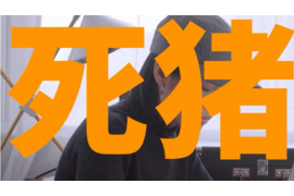 驾考宝典要账号吗?揭秘驾校备考神器背后的真相 驾考宝典要账号吗?揭秘驾校备考神器背后的真相