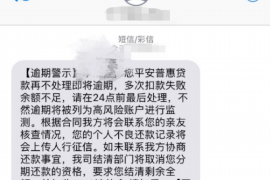 洪山区讨债公司律师：专业服务助您高效追回欠款