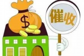 逾期催收专业术语:揭秘债务追收领域的行话 逾期催收专业术语:揭秘债务追收领域的行话