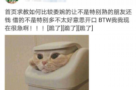 讨债人最糟糕的行为:揭秘债权追收中的红线 讨债人最糟糕的行为:揭秘债权追收中的红线